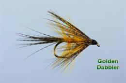 Golden Dabbler